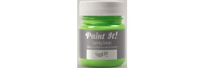PaintIt Spring Green 25ml